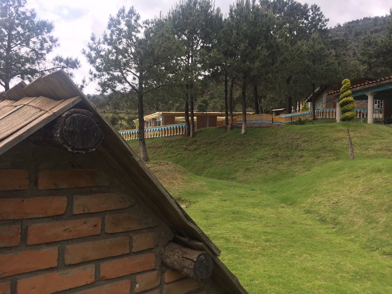Una cabaña rústica de madera con techo inclinado, rodeada de césped y árboles.