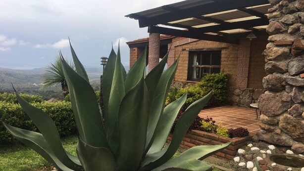 A large agave plant in a garden with a stone wall and a brick building in the background.