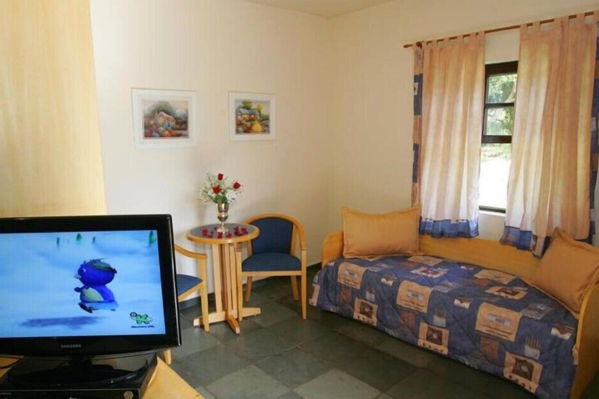 Una habitación pequeña con una cama, un televisor, una silla, una mesita con un jarrón y dos cuadros en la pared.