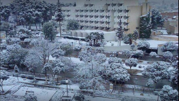 Ein Hotel mit mehreren Balkonen, einem Parkplatz und schneebedeckten Bäumen.