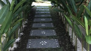 A pathway lined with large green plants leading to a wooden fence and a thatched roof structure. - Cozy Cottages Lombok (Senggigi)