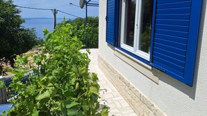 A house with blue shutters, a satellite dish, and a view of the sea.