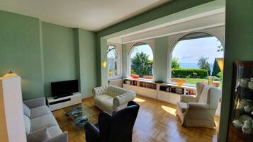 Smart TV, fireplace, DVD player, books