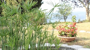 A garden with a pond, potted plants, and a decorative sculpture.