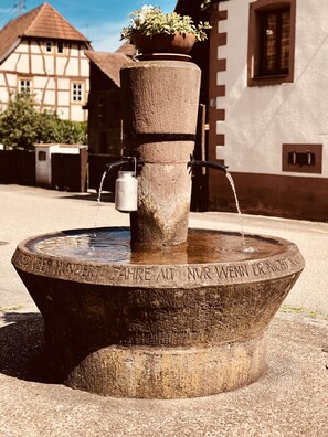 Àrea exterior de l'allotjament