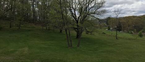 Un campo cubierto de césped con árboles y una cerca de madera.