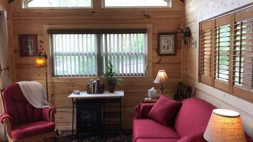 TV connectée, cheminée, livres