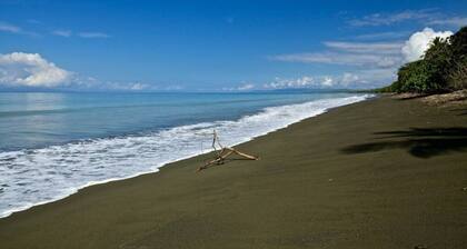 *Peaceful *Quiet *Beach Home *50MBPS *Pavones
