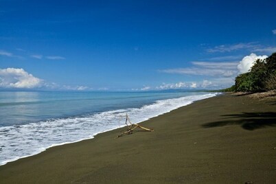 *Peaceful *Quiet *Beach Home  *50MBPS *Pavones