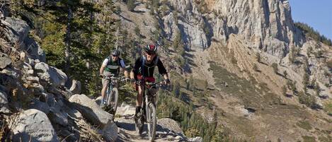 Mammoth Rock Trail - Mountain Biking