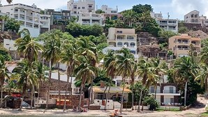 Une zone côtière avec des bâtiments, des palmiers et une plage.