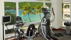 Ein Fitnessraum mit Lauf- und Ellipsentrainer, großen Fenstern mit Blick auf einen Hafen und Palmen.