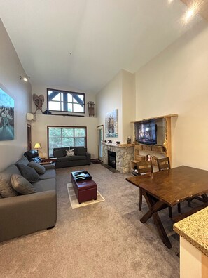 TV connectée, cheminée, jeux vidéo, lecteur de DVD