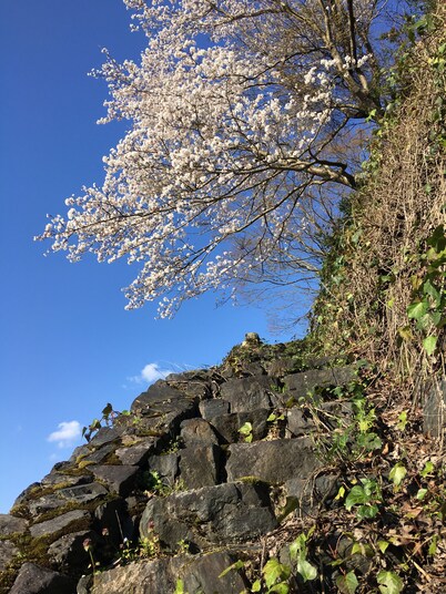 Minsyuku Satoyama