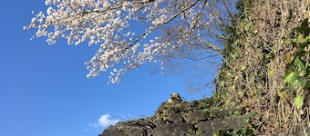 Minsyuku Satoyama