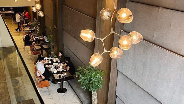 Un comedor moderno con una mesa larga y sillas, un lámpara colgante y una planta en maceta.