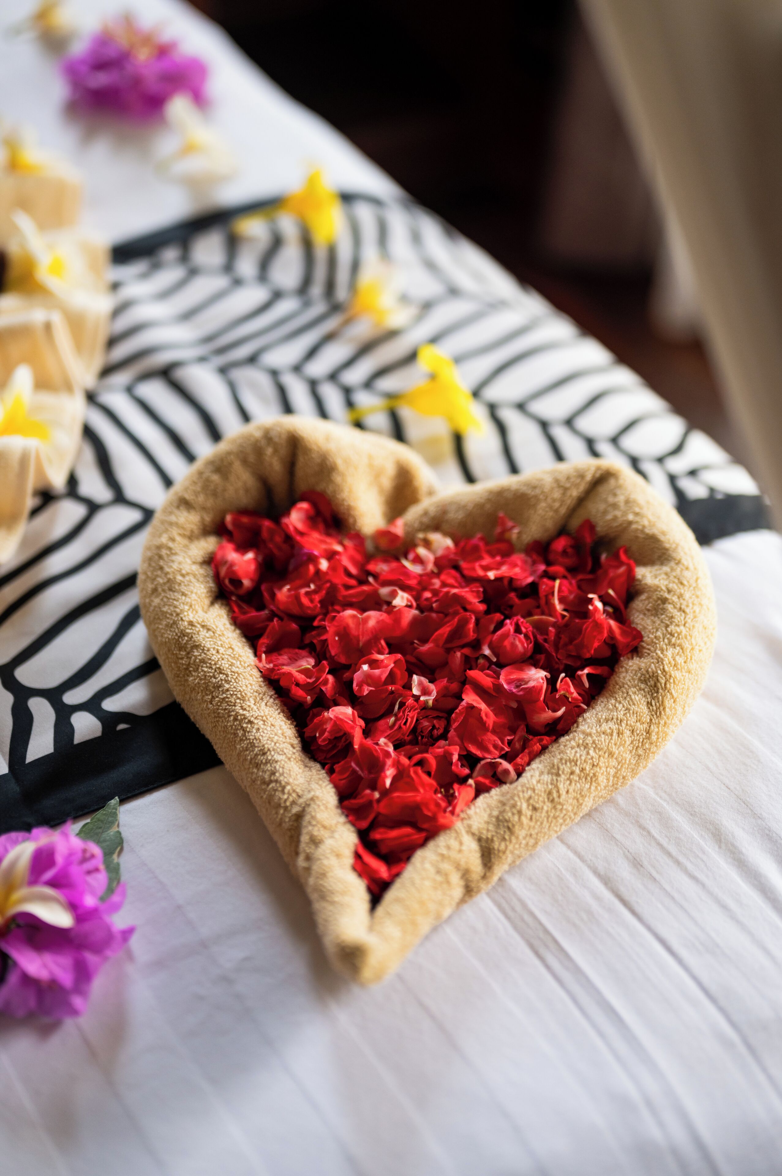 Un cuenco con forma de corazón lleno de flores rojas sobre una cama con un cojín a rayas de cebra.