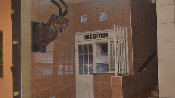 Un área de recepción con una escultura de cabeza de animal montada, un mostrador de recepción y una pared con azulejos.