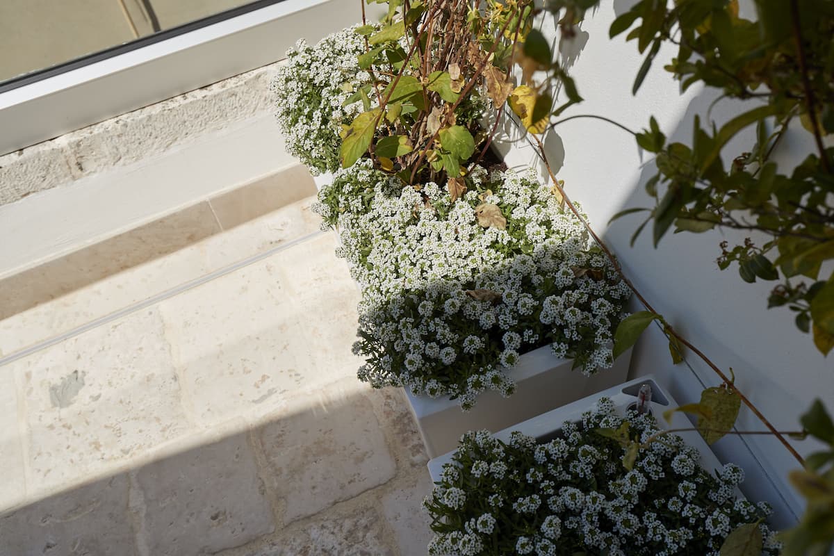 Una escalera con paredes blancas y una ventana.
