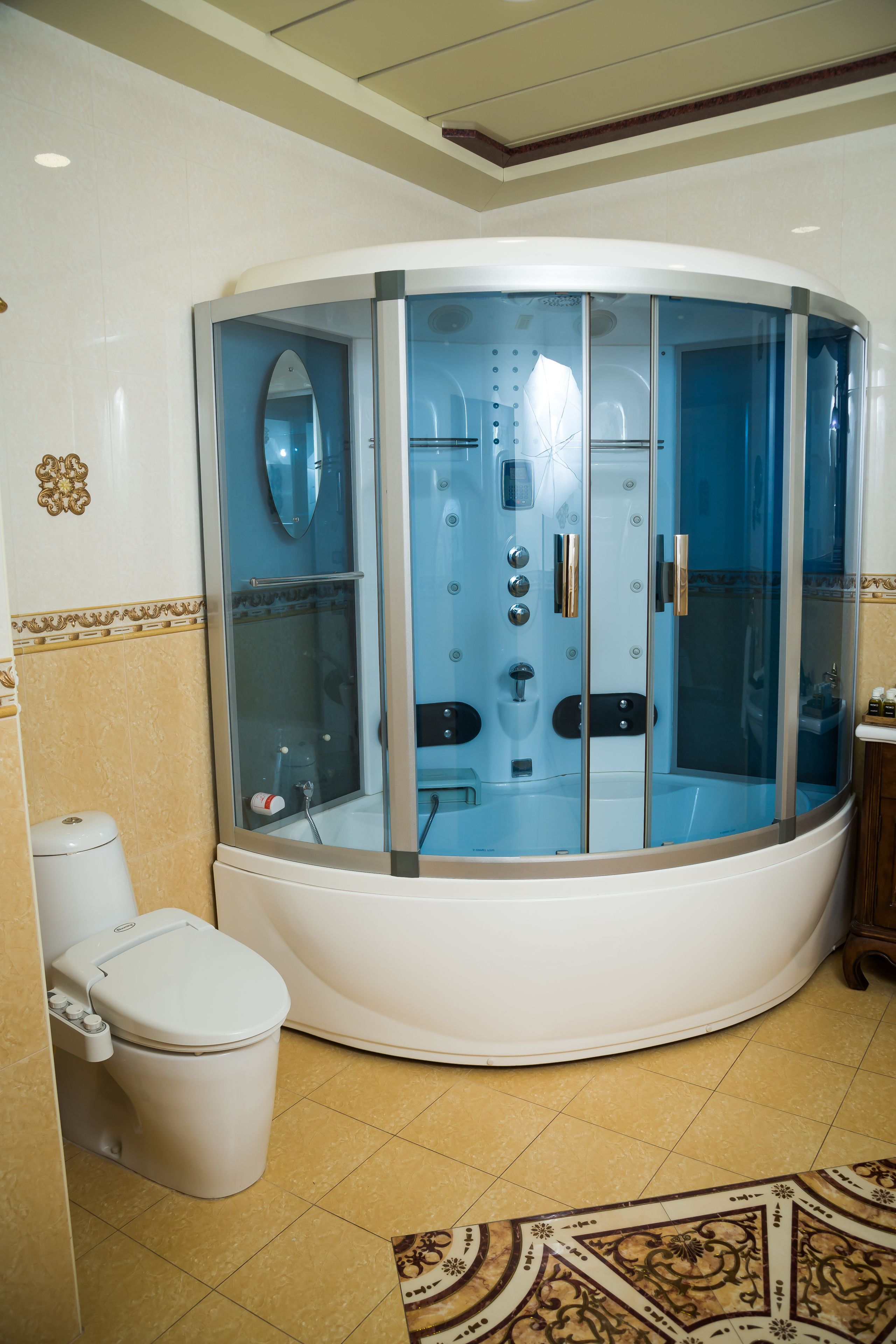 A modern bathroom with a glass-enclosed steam shower, a toilet, and a sink.