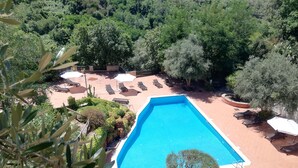 A rectangular swimming pool surrounded by lounge chairs and umbrellas, with a landscaped garden and trees in the background. - Residenza Mediterranea (Zambrone)