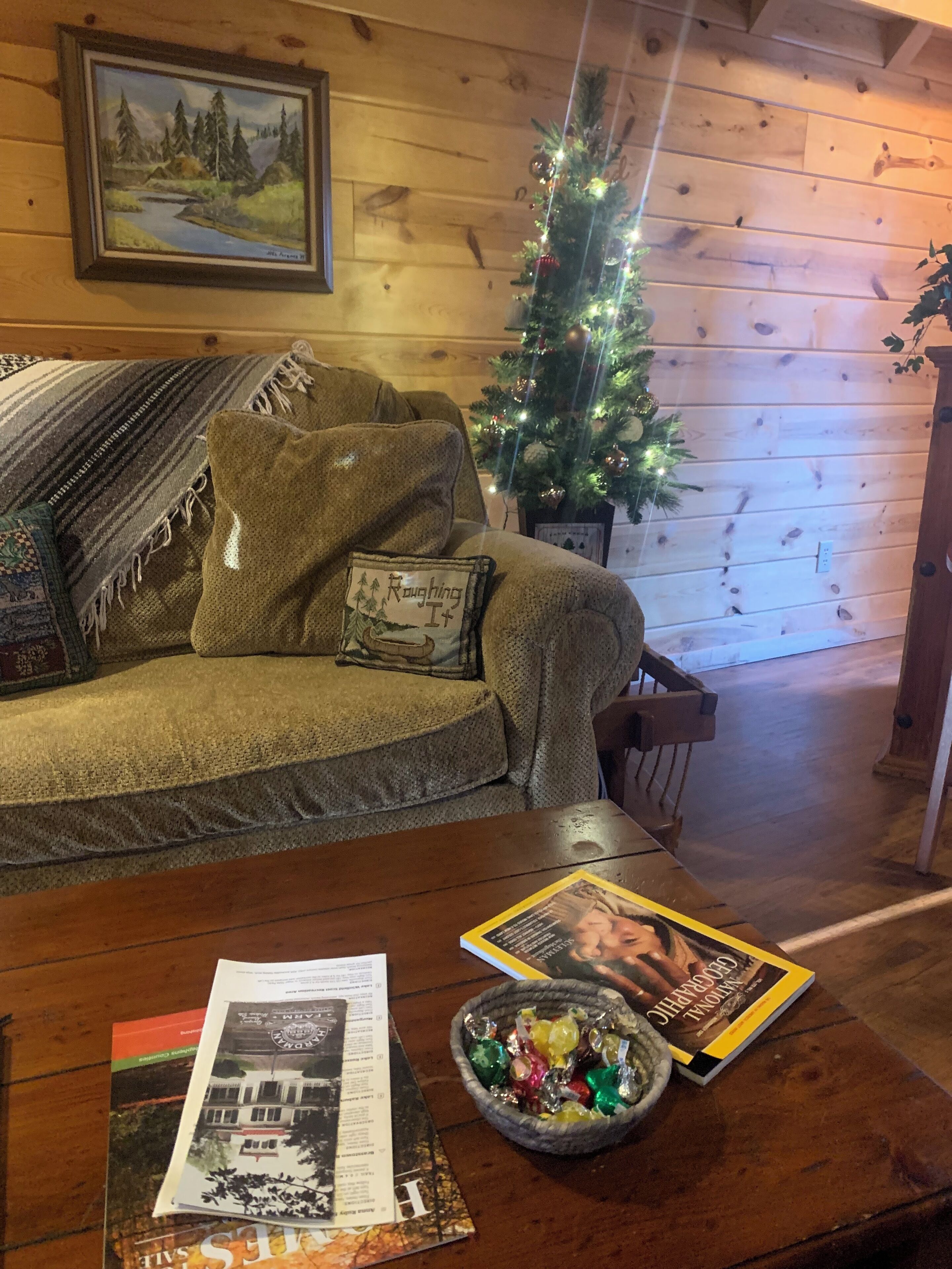 A cozy living room with a wooden wall, a sofa, a Christmas tree, and a coffee table with books and a bowl of candies.