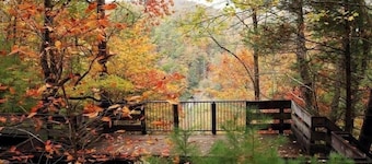 Nacoochee Valley Lodge