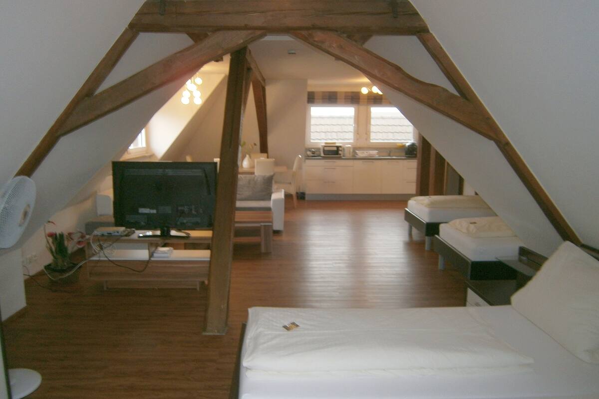 Een slaapkamer in loft-stijl met een houten plafond, een televisie, een bank en een kitchenette op de achtergrond.