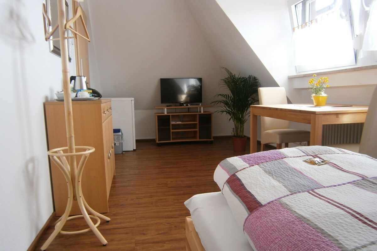 A room with a bed, a desk, a television, a plant, and a wardrobe.