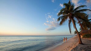 Une plage bordée de palmiers, un ciel dégagé et des empreintes de pas dans le sable.