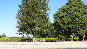 Area piscina con acqua cristallina, circondata da alberi e un bordo piastrellato.