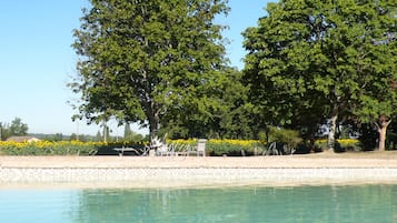 Outdoor pool, sun loungers