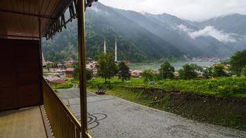 View from room