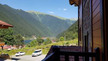 Deluxe Apartment, 3 Bedrooms | View from room