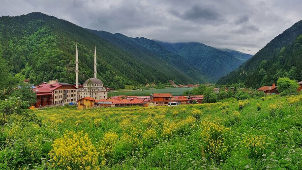 Un paysage montagneux avec une mosquée dotée de deux minarets et d’un dôme, entourée d’une végétation luxuriante et de champs de fleurs jaunes.