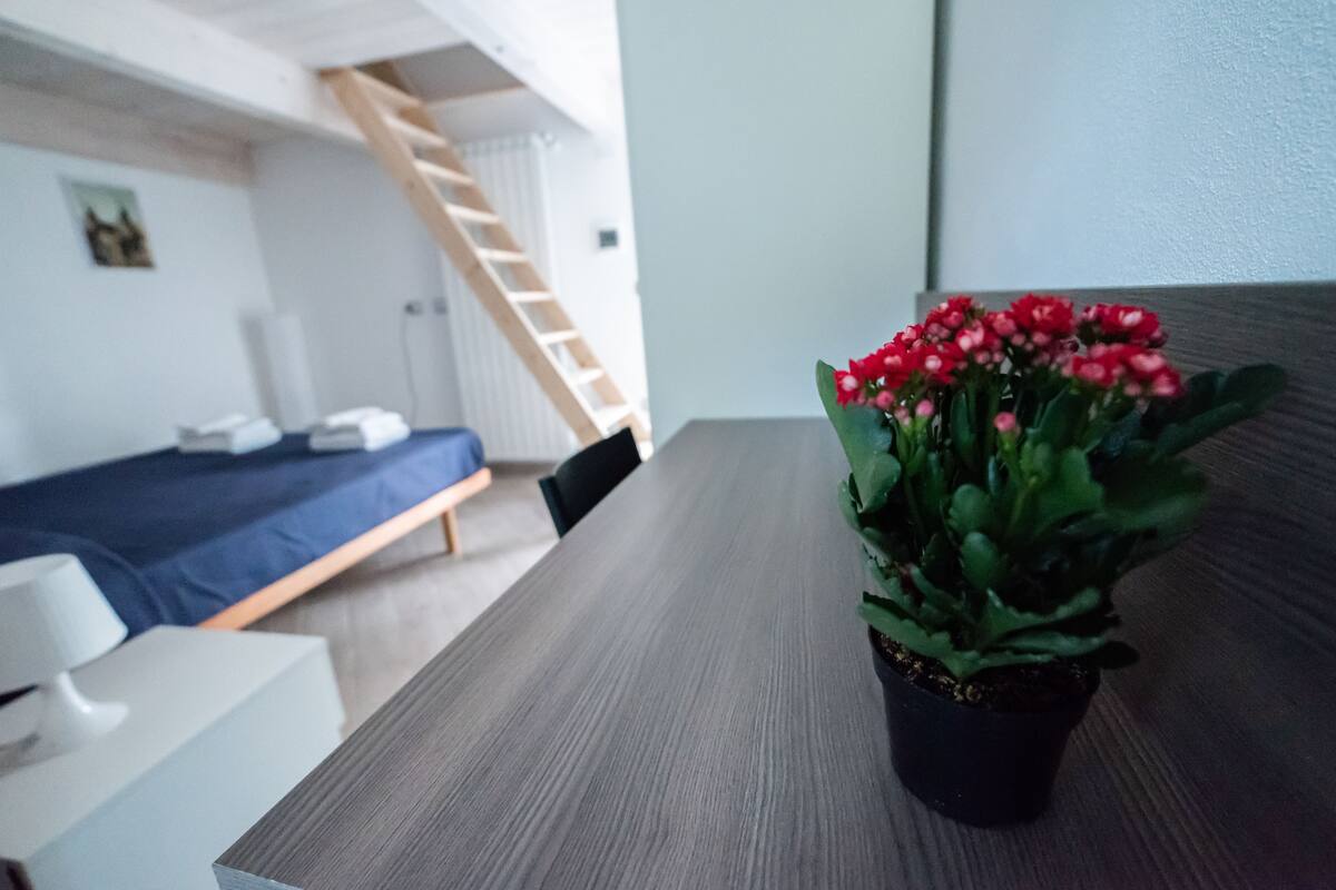Desk, rollaway beds, free WiFi, bed sheets