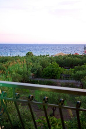 Property grounds - 14 Aparts 150m. from the Sea & 6000 sq.m2 Garden–(36 to 42 pers, whole building) (Zakynthos)