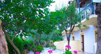 Wohnungen 150m. vom Meer & 2 Morgen Garten - (36 bis 44 Personen, ganzes Gebäude)