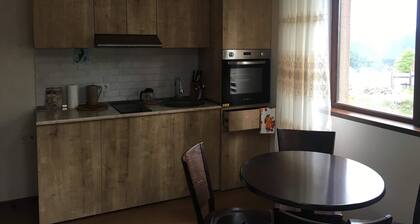 Bakuriani cheap apartment in ski resort