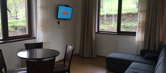 Bakuriani cheap apartment in ski resort