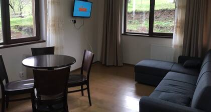 Bakuriani cheap apartment in ski resort