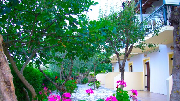 A courtyard with a stone pathway, lush greenery, and a building with a balcony. - 7 Seaview Studios 150 meters from the Sea + 6000 sq.m2 garden (14 to 19 persons) (Zakynthos)