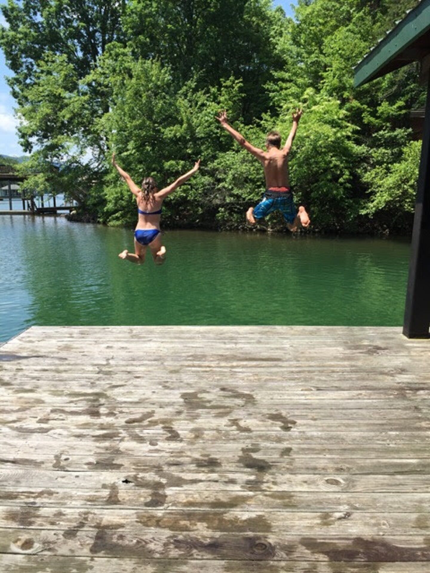 DOG AND FAMILY FRIENDLY, SML VA, Deep Water Dock, Private Cove, Peaceful