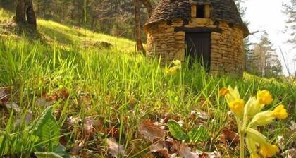 PERIGOURDINE STONE HOUSE CLASS 3 * GREEN FRAME WITH PRIVATE POOL.