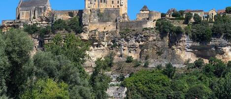 A historic castle on a rocky hill with surrounding residential buildings.