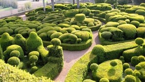 Ein sorgfältig angelegter Garten mit geometrischen Formschnitten und einem klaren Weg.