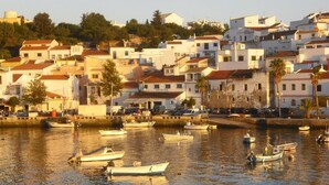 Un pueblo costero con edificios blancos, un puerto deportivo con varias embarcaciones y una colina con árboles al fondo.