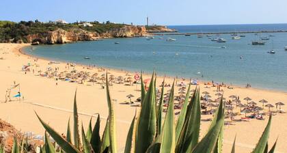 Sunny ap. with pool for 2 people (+2 young) right on the sea in a prime location