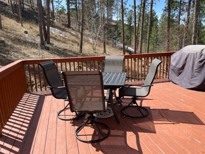 Omega Cabin Close to Lake Pactola and ATV Trails 