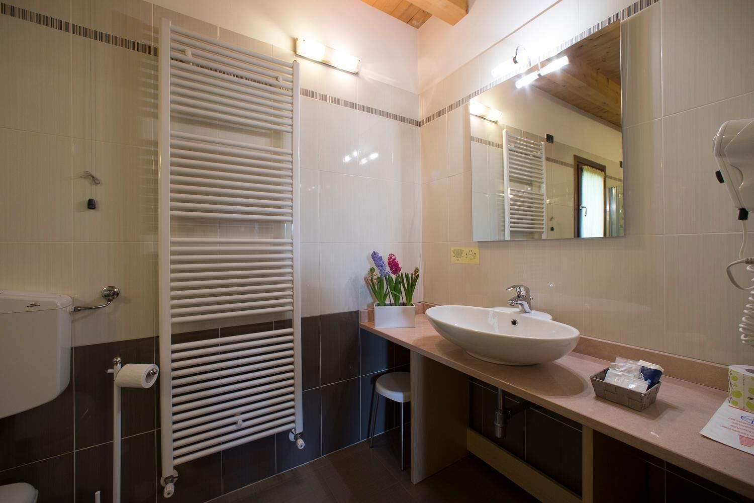 shower, free toiletries, hair dryer, slippers